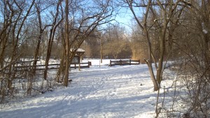 2012-01-28_15-29-37_570