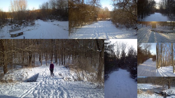 Bixler Lake Trail - 1-128-12