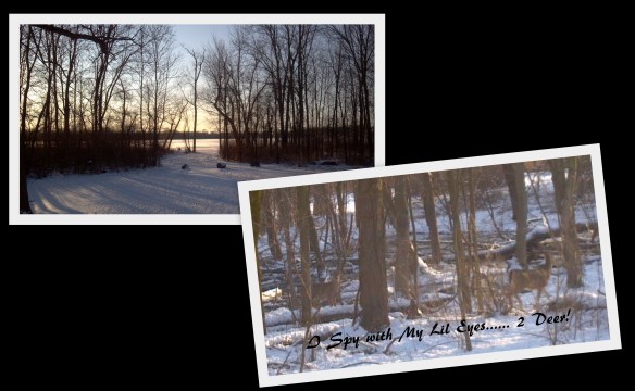 Bixler_Campground Area