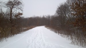 YankeeWoods_snow_1-22-12