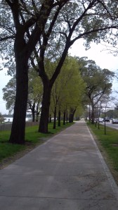lakefront2_3-27-12