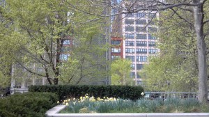 Millenium Pk_3-27-12