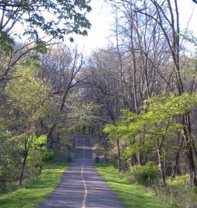 Schubert Woods_4-8-12