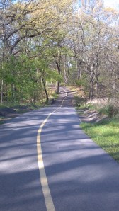 Schubert Woods_little bridge_4-8-12