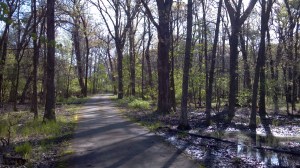 Schubert Woods_The Shoot5_4-8-12