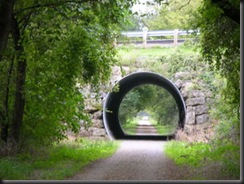 DSCN4514-Glacial_Drumlin_Trail