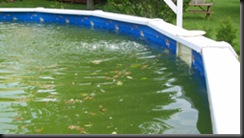 Green-Above-Ground-Swimming-Pool