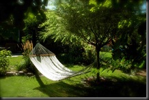 hammock