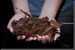 mulch