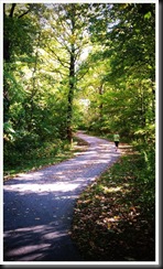 Oak Leaf Trail 2