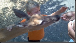 WI Dells_Deer Park_Michael