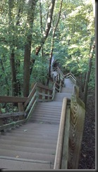 Dunes_stairs down_8-11-12