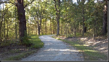 Goodenow Grove_9-15-12