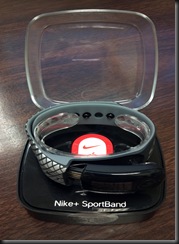 Nike  Sportband
