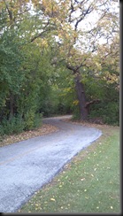 Yankee Woods_10-16-12