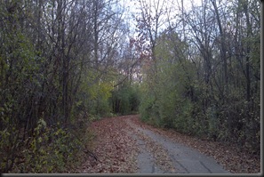 Bremen Woods 2_10-31-12