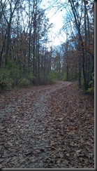 Bremen Woods_10-31-12