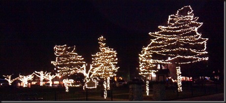 Christmas Lights_grainery_11-28-12