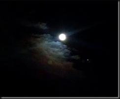 Full Moon_11-29-12