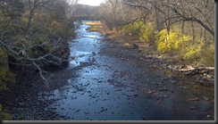 Kankakee River State Pk5_11-11-12