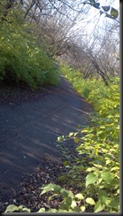 Kankakee River State Pk6_11-11-12