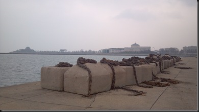 Lakefront2_11-20-12