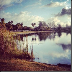 Ragnar Keys_tranquility pond