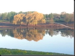McCarthy Park Lagoon
