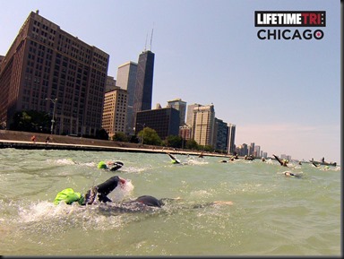 Open Water Swim Clinic_swim