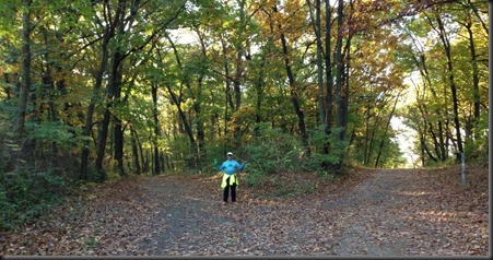 Bullfrog Lake-Pulaski Woods_fork in the trail