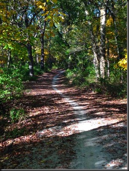 Bullfrog Lake-Pulaski Woods_trail