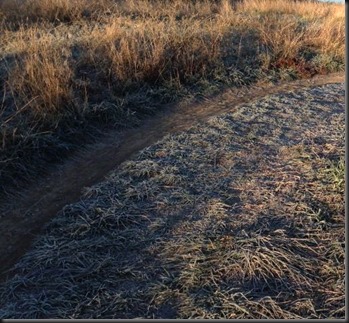 Bullfrog Lake_singletrack