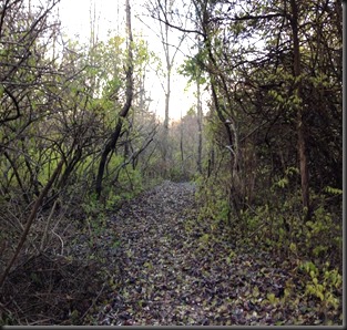 Kankakee River State Pk_ Trails2_Nov 2013