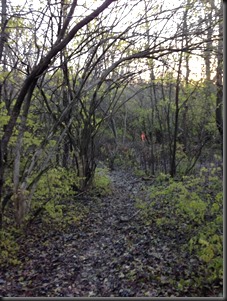 Kankakee River State Pk_ Trails_Nov 2013