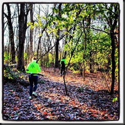 Kankakee River State Pk_ woods_Nov 2013
