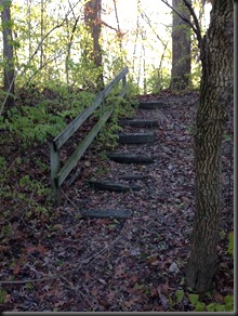 Kankakee River State Pk_stairs_Nov 2013