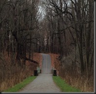 Schubert Woods_Nov 2013_hill-bridge