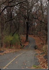 Schubert Woods_Nov 2013_small bridge