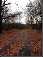 Schubert Woods_Nov 2013