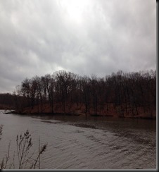 Schubert Woods_Nov 2013_water