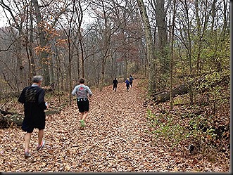 Swallow Cliff_Nov 2013_4