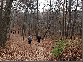 Swallow Cliff_Nov 2013_5