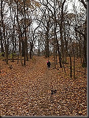 Swallow Cliff_Nov 2013_big hill