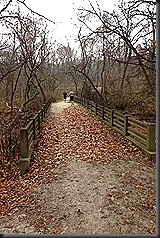 Swallow Cliff_Nov 2013_bridge