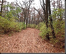 Swallow Cliff_Nov 2013