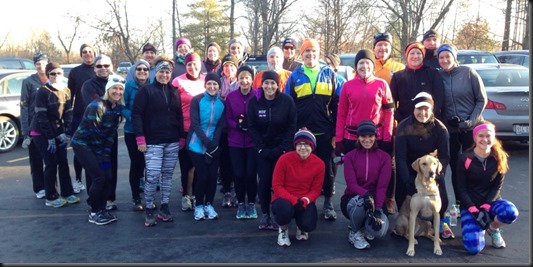 Waterfall Glen__group_Black FRI_2013