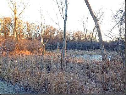 Waterfall Glen_Black FRI_2013-2