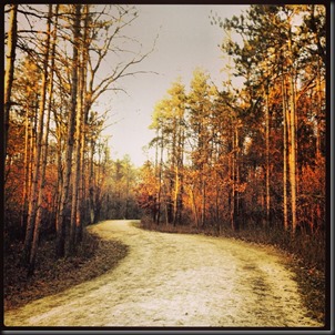 Waterfall Glen_Black FRI_2013-3