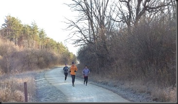 Waterfall Glen_Black FRI_2013