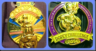 Goofy & Dopey medals